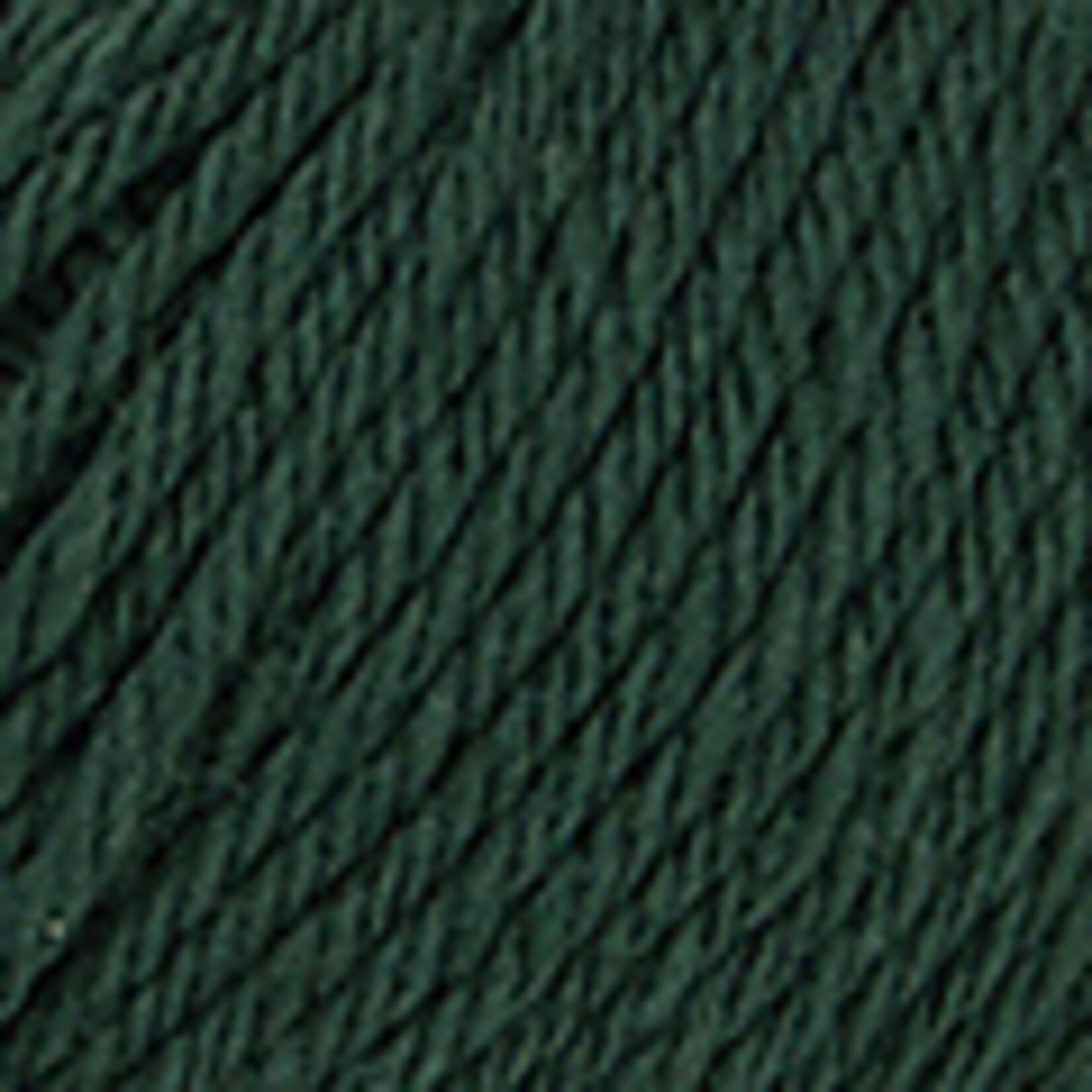 Katia Merino Worsted 22 - Flesgroen