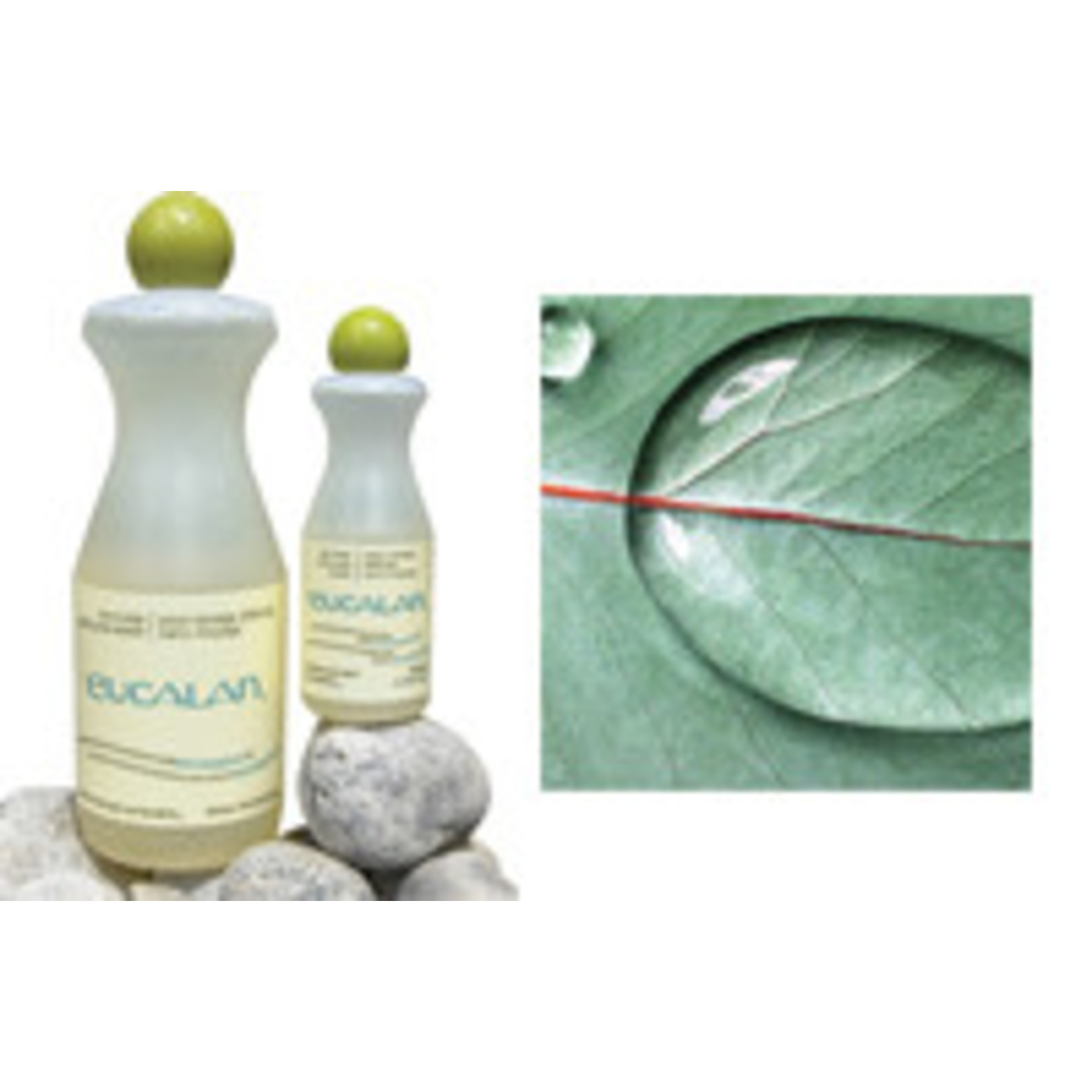 Eucalan Wolwasmiddel Eucalan 100 ml