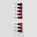 Colorly 2020 60ml Haarkleur licht bruin purper rood - 5P - Colorly