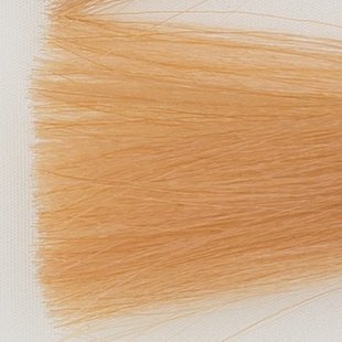 Haarkleur zeer licht blond tabak natuur - 9TN - Colorly