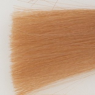 Haarkleur licht blond tabak natuur - 8TN - Colorly