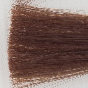 Haarkleur donker blond tabak natuur - 6TN - Colorly