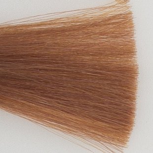 Haarkleur licht blond beige goud - 8BD - Colorly