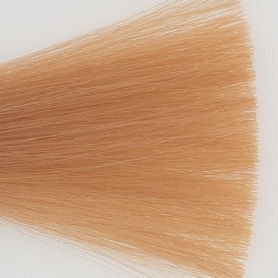 wedstrijd gespannen Trappenhuis Itely Haarverf - Itely Aquarely - Haarkleur Zeer licht goud blond (9D) -  Itely Hairfashion | Itely Hairfashion