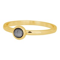 IXXXI JEWELRY RINGEN iXXXi Jewelry Vulring 0.2 cm Staal Cateye Natur Grey Gold