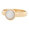 IXXXI JEWELRY RINGEN iXXXi Jewelry Invulring 0.4 cm Staal met een platte zetting met daarin een 8mm White Cateye cabochon Gold