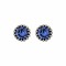 BIBA OORBELLEN Biba Earrings silver with a tulip-shaped ribbed back and a Swarovski stone Sapphire