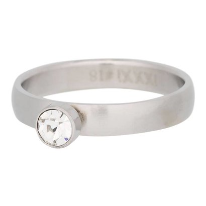 IXXXI JEWELRY RINGEN iXXXi Vulring met 1 Crystal Zirconia in een Mat Silver stainless steel ring