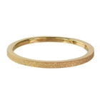 CHARMIN'S Charmin ring Sanded Gold Steel