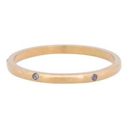 IXXXI JEWELRY RINGEN iXXXi Jewelry Ring 2mm ELEGANCE Gold Stainless steel