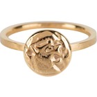 CHARMIN'S Charmins ring Coin or Power Steel Gold