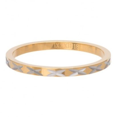 IXXXI JEWELRY RINGEN iXXXi Vulring 2MM X ROW GOUD STAAL