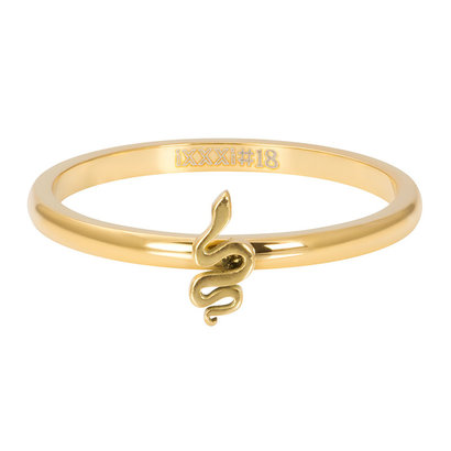 iXXXi JEWELRY iXXXi Unterlegscheibe 2mm Snake in Gold Edelstahl