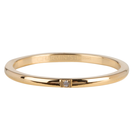 CHARMIN'S Charmins ring Precious  Shiny Steel Gold