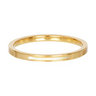 IXXXI JEWELRY RINGEN iXXXi Jewelry Vulring Bonaire 2mm Staal Goud met geel parelmoer