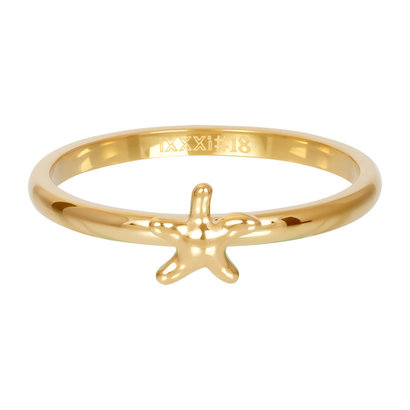 IXXXI JEWELRY RINGEN iXXXi Jewelry Washer Starfish 2mm in Gold Stainless steel