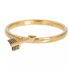 IXXXI JEWELRY RINGEN iXXXi Jewelry Washer Arrow 2mm Gold colored