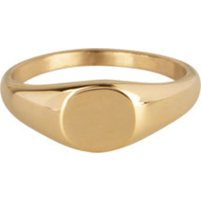 CHARMIN'S Charmins ring Zegelring Petite  Rond Steel Gold