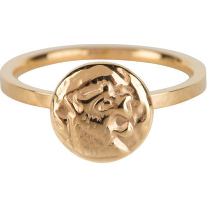 CHARMIN'S Charmins ring Coin of Power Steel Gold