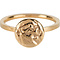 CHARMIN'S Charmins ring Coin of Power Steel Gold