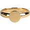 CHARMIN'S Charmins ring Pudgy Seal Steel Gold