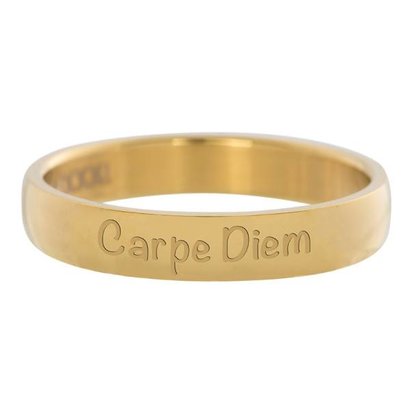 IXXXI JEWELRY RINGEN iXXXi Washer 0.4 cm Carpe Diem Gold Stainless Steel