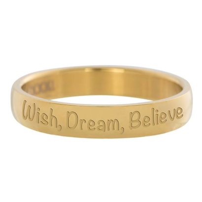 IXXXI JEWELRY RINGEN iXXXi Vulring 0.4 cm Wish, Dream, Believe goudkleurig Edelstaal