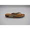 Gouden teenslipper