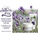 Toque Verde Toque Verde cosmetica facial cream en handcrème Toque Verde Toque Verde cosmetica facial cream en handcrème