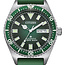 Citizen Promaster Marine Automatic Diver 41mm Herrenuhr NY0121-09XE