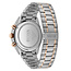 Hugo Boss  Champion Chronograph Herrenuhr  1513819