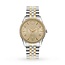 Vivienne Westwood  Wallace 38mm DamenuhrVV208CPSG
