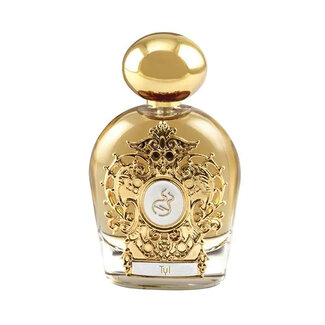 Tiziana Terenzi Tyl Extrait de parfum 100 ml (unisex)
