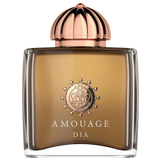 Amouage Dia Woman Eau De Parfum 100 ml (woman)