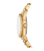 Michael Kors  Petite Lexington MK4842  Damenuhr