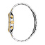 Roberto Cavalli  Herrenuhr  GNT CHR SS SILV RC5G128M0085
