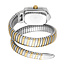 Roberto Cavalli Damenuhr -Roberto Cavalli   LAD SS SILV RC5L115M0065