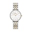 Daniel Wellington  Petite   DW00100665 Damenuhr