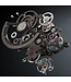 Bonest Gatti  BG7002-G1 Rainbow Bezel K9 Crystal Tourbillon Automatik Transparent Herrenuhr