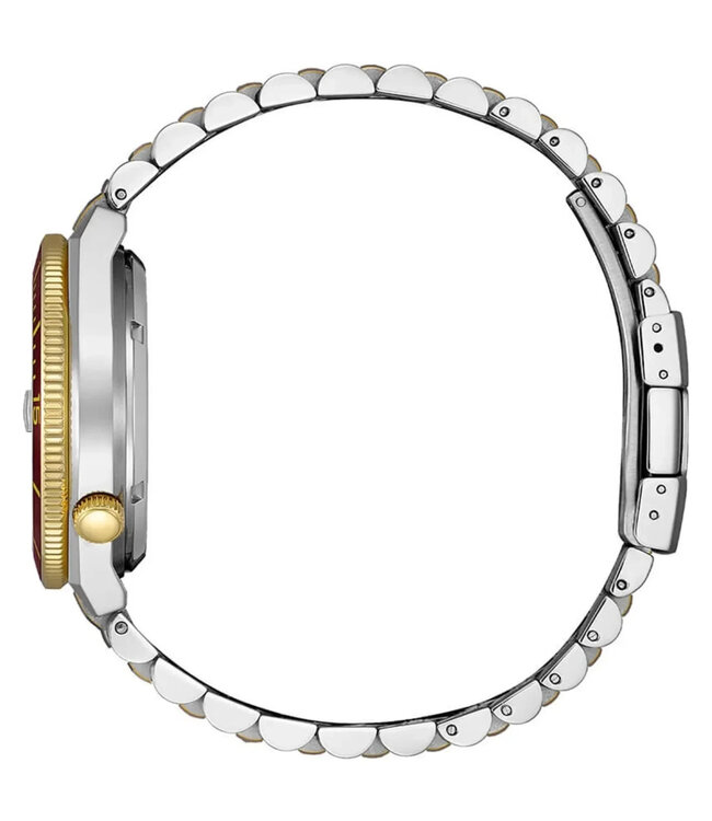 Citizen  Tsuyosa Shore NJ0234-58X Herrenuhr