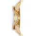 Michael Kors  Whitney MK6729 Damenuhr