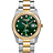 Roamer of Switzerland 