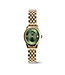 Daniel Wellington   Ophelia Mini DW00100804 Quarz Gold/Smaragdgrün Damenuhr