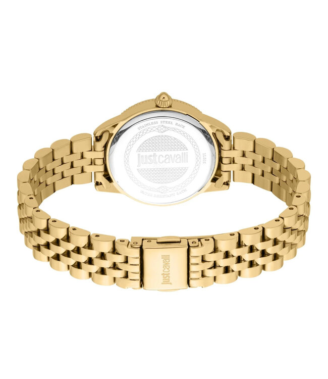 Just Cavalli Just Cavalli Lovestruck JC1L315M0065 Quarz Gold/Grün Damenuhr Set