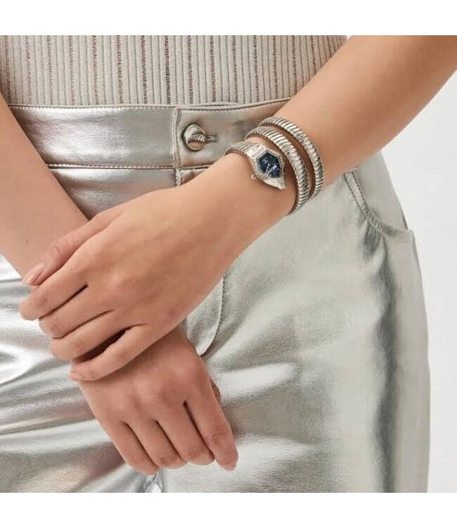 Just Cavalli  Mesmerizing JC1L304M0015 Quarz Silber/Blau Damenuhr