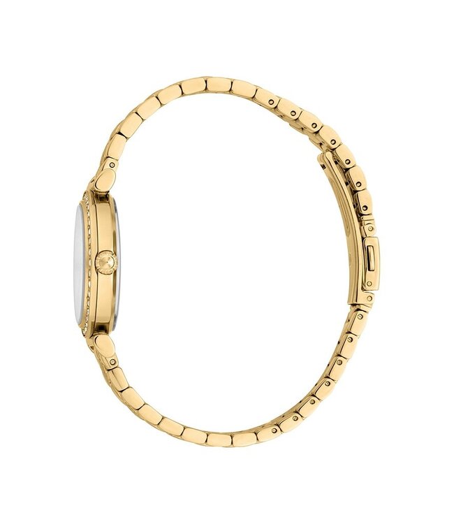 Just Cavalli  Varenna JC1L273M0055 Quarz Gold/Silber Damenuhr Set