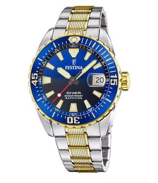 Festina F20706/1 Herrenuhr The 41 mm