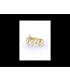 Philipp Plein  PW1BA0623 Damenuhr 38 mm