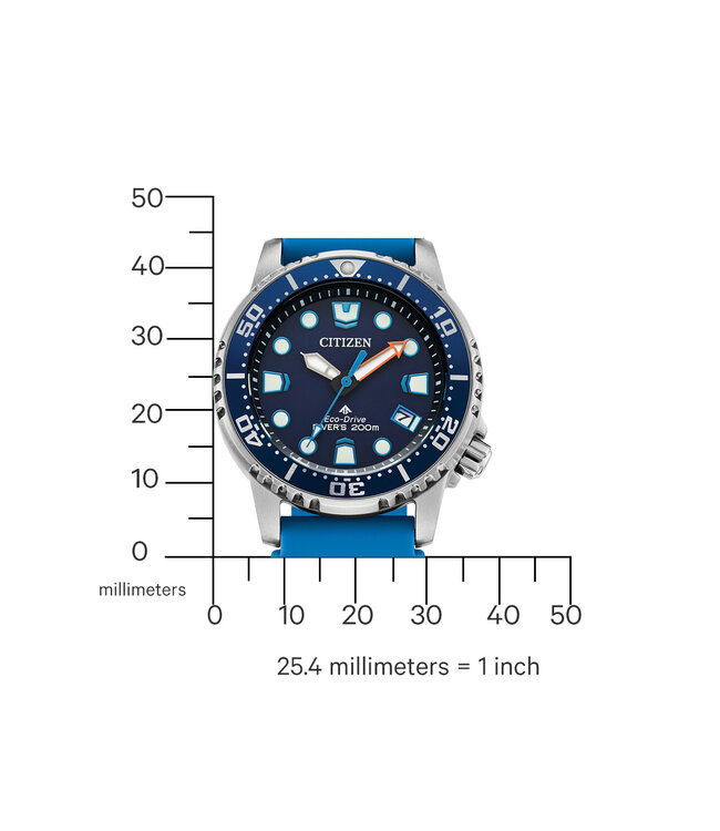 Citizen  EO2028-06L Damenuhr Eco-Drive 36 mm