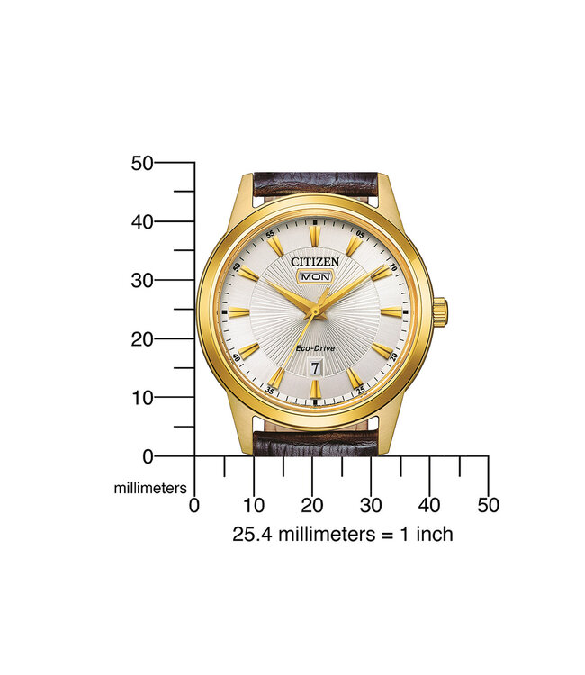 Citizen  AW0102-13AC Herrenuhr Eco-Drive 40 mm